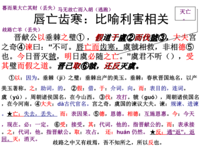 唇亡齿寒什么意思(唇亡齿寒意思简述)