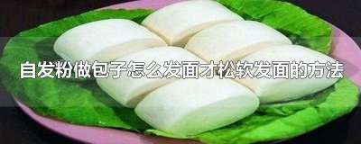 自发面怎么做包子 自发面怎么做包子又松又软