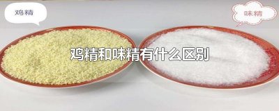 鸡精和味精有什么区别