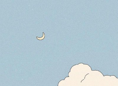 12朵康乃馨多少钱一束?粉色康乃馨多少钱一束