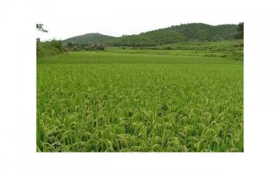 爱爱时下面流多少水才正常?