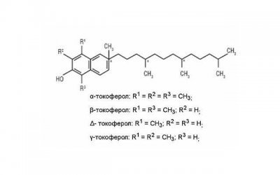 恋爱中的伪常识!看看你都信了几个?