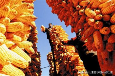 个人家怎么做玉米酒(玉米团子怎么做)