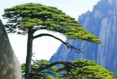 中国五山是指哪五山(我国五山是什么)