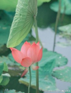 对方“想分手”的3个征兆,希望你一条没占,若全占就放手吧