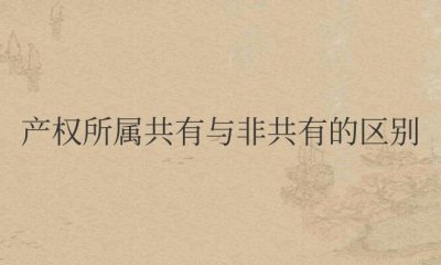 产权所属共有与非共有的区别