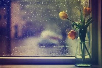 表达感恩的句子,心怀感恩的句子